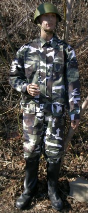 arctic-camos.jpg (9258 bytes)