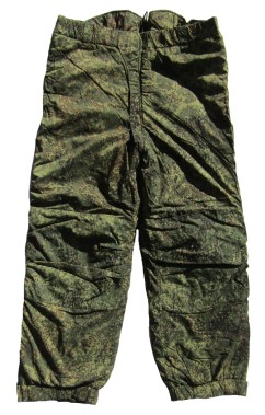 r100ps.jpg (4504 bytes)