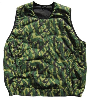 r60cs.jpg (5446 bytes)