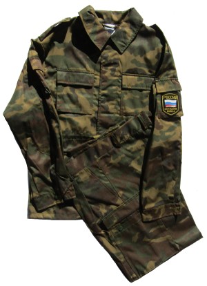 rc84s.jpg (52332 bytes)