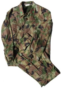 it3s.jpg (55272 bytes)