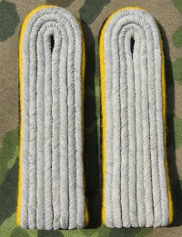 rse319s.jpg (3393 bytes)