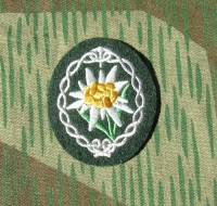 rse368dgs.jpg (3540 bytes)