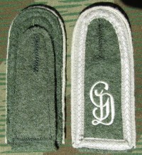 rse489s.jpg (3278 bytes)