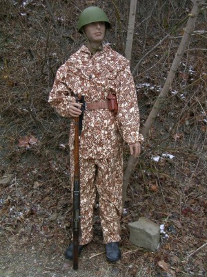 scs10s.jpg (6783 bytes)