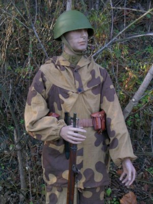 scs4ls.jpg (5885 bytes)