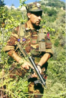 carabine.jpg (31988 bytes)